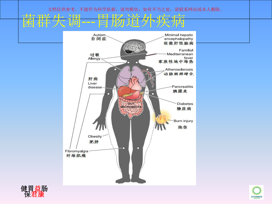 菌群失调胃肠道疾病课件.ppt_第2页