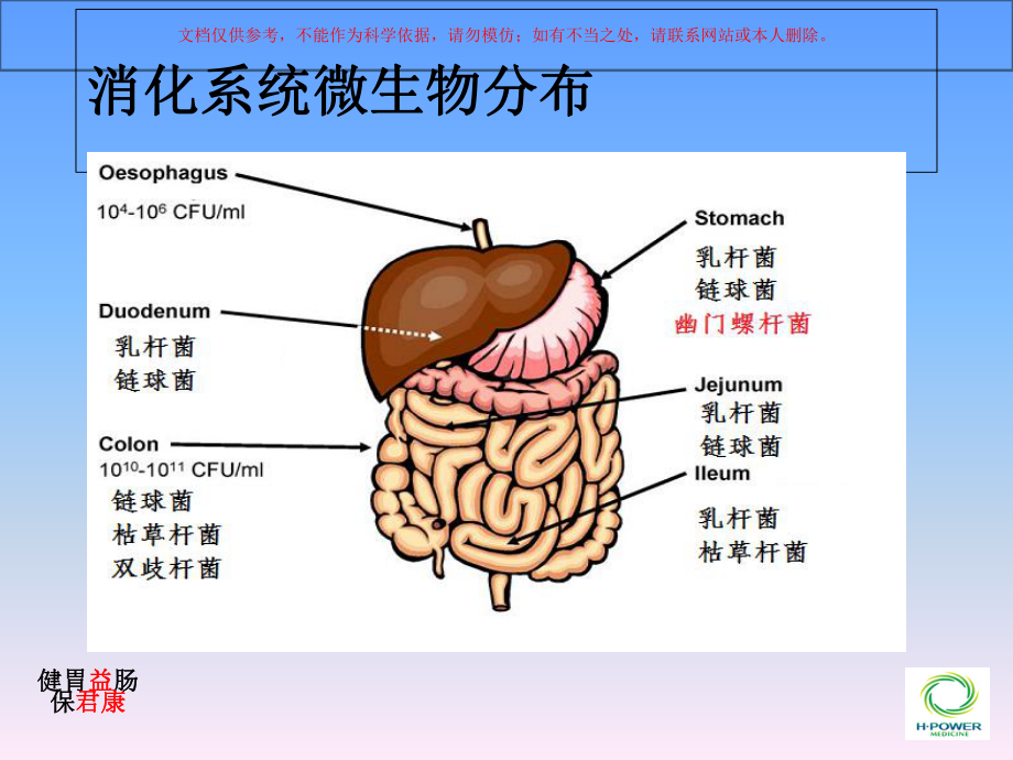 菌群失调胃肠道疾病课件.ppt_第3页