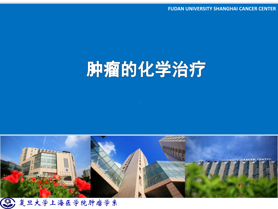 肿瘤的化学治疗1课件.ppt_第1页