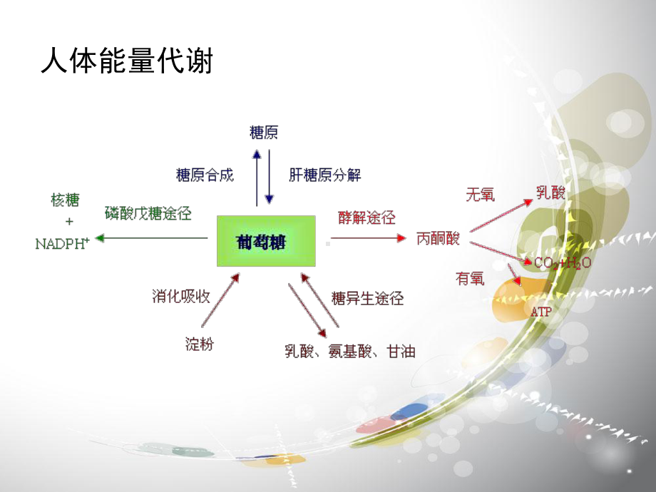 糖尿病课件PPT课件.ppt_第2页