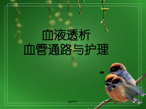 血液透析血管通路与护理-ppt课件.ppt