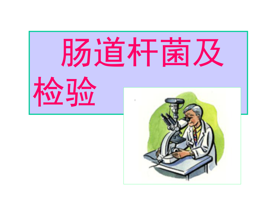 肠道杆菌及检验课件.ppt_第1页