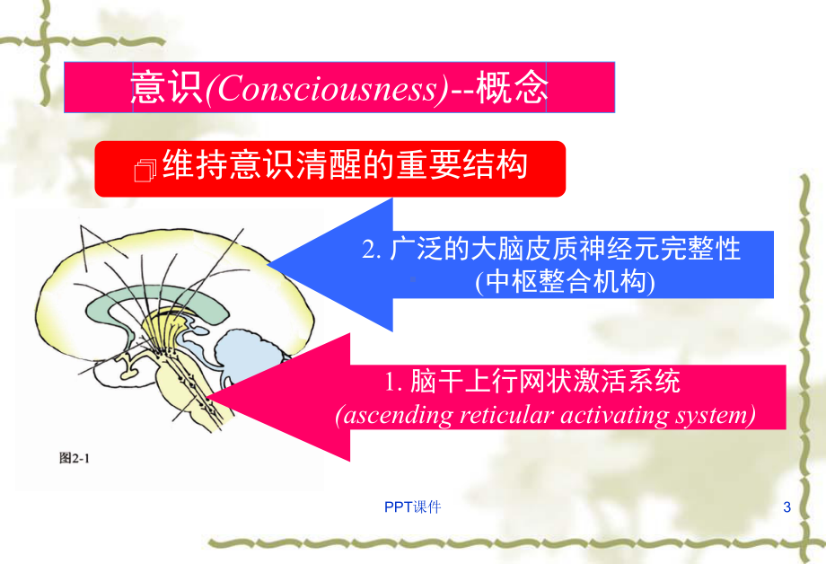 意识障碍的诊断思路-ppt课件.ppt_第3页