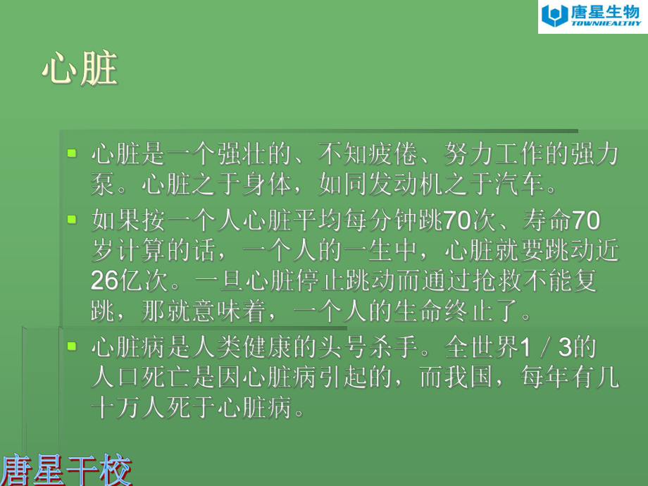 心脏病-PPT课件.ppt_第3页