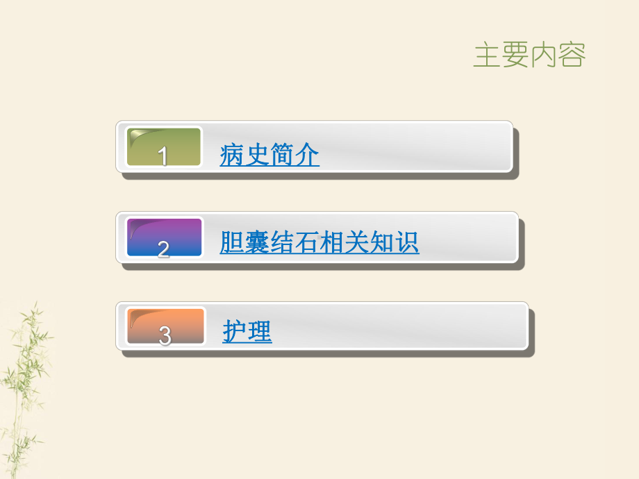 胆囊结石护理查房-ppt课件.ppt_第2页