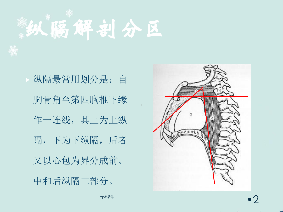 胸腺瘤-ppt课件.ppt_第2页