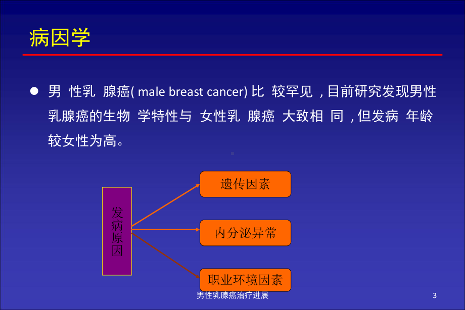 男性乳腺癌治疗进展培训课件.ppt_第3页