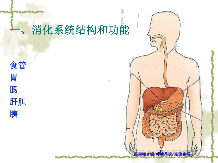 第一节消化系统疾病概述-PPT课件.ppt_第3页