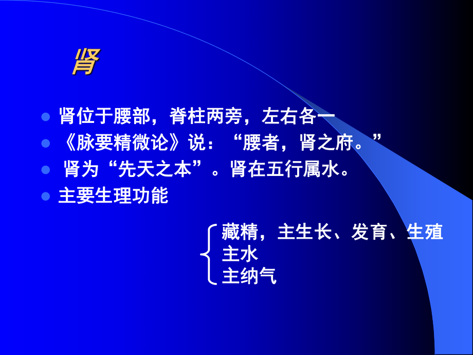 肾PPT课件.ppt_第1页