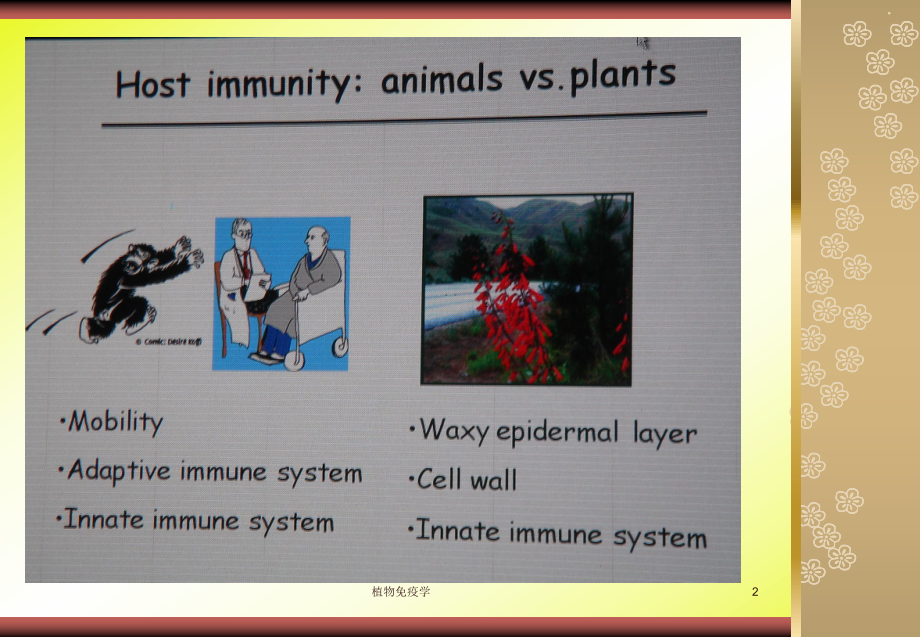 植物免疫学ppt课件.ppt_第2页