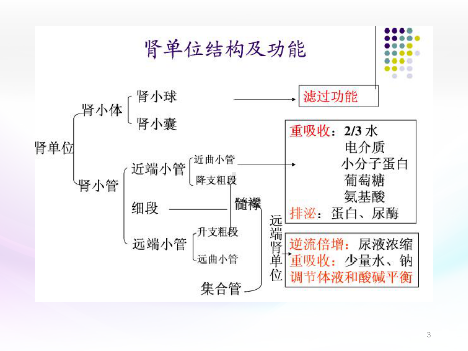 常用肾功能实验室检测-ppt课件.ppt_第3页