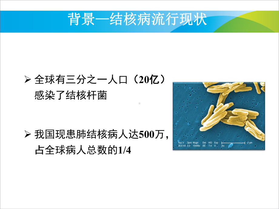 结核病实验室诊断课件.ppt_第3页