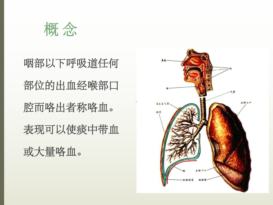 咯血诊疗规范ppt精选课件.ppt_第2页