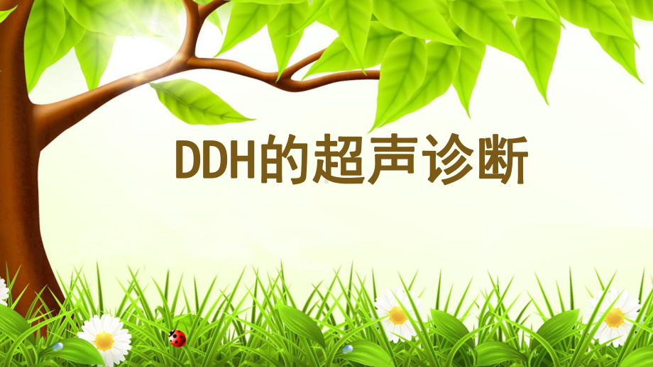 DDH的超声诊断ppt演示课件.pptx_第1页