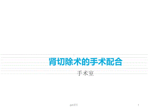 肾切除术-ppt课件.ppt