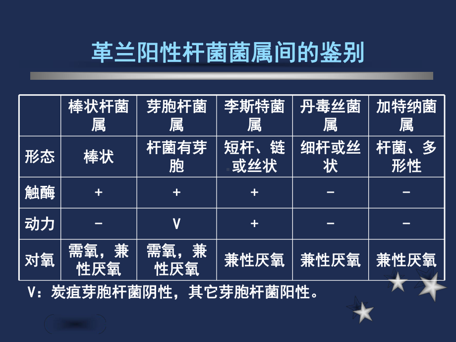 需氧革兰阳性杆菌及检验1课件.ppt_第2页