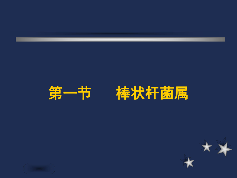 需氧革兰阳性杆菌及检验1课件.ppt_第3页