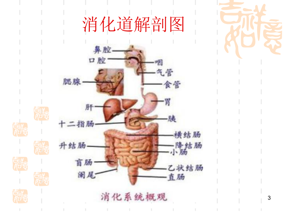 乙状结肠癌护理PPT课件.ppt_第3页