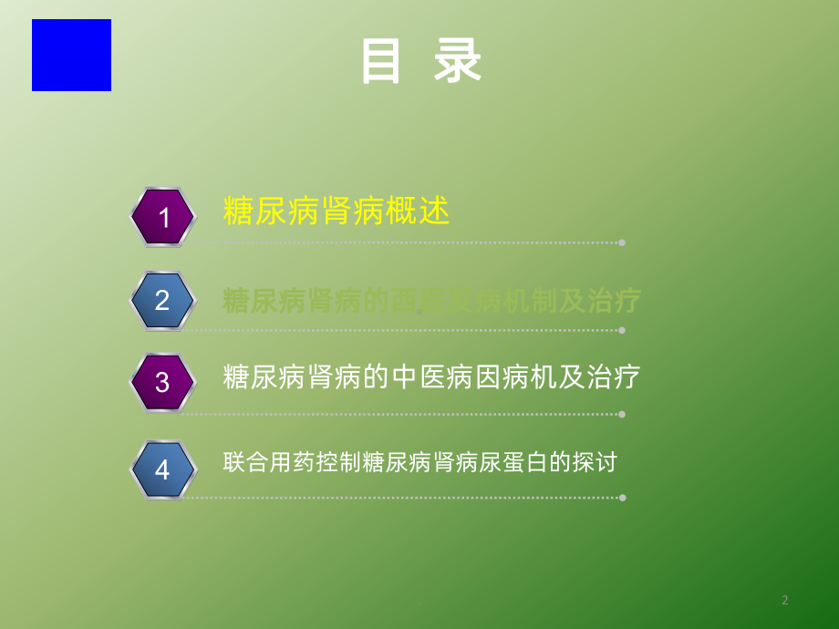 中西医治疗糖尿病肾病PPT课件.pptx_第2页