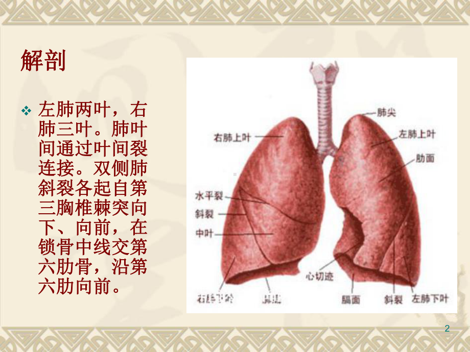 胸腔镜肺癌根治的手术配合PPT课件.ppt_第2页