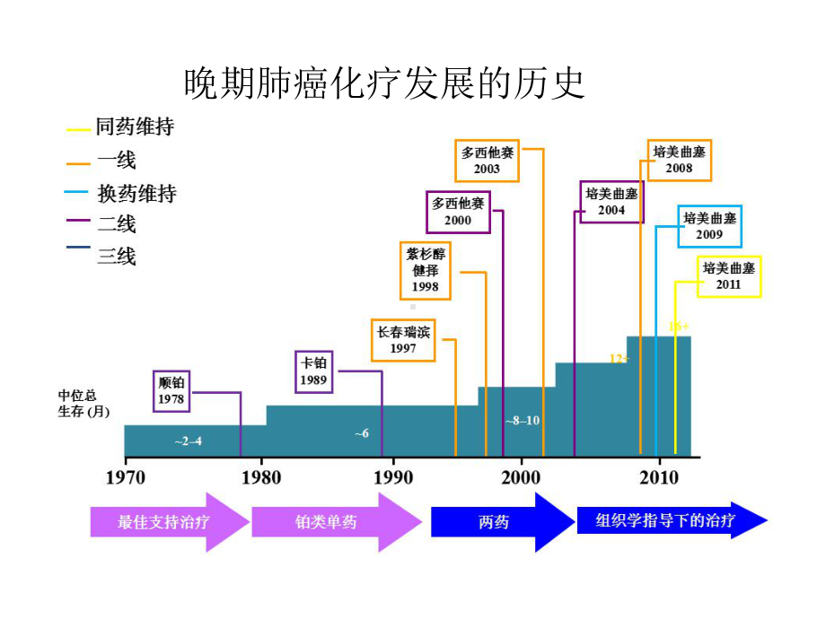 肺癌的化疗课件.ppt_第2页