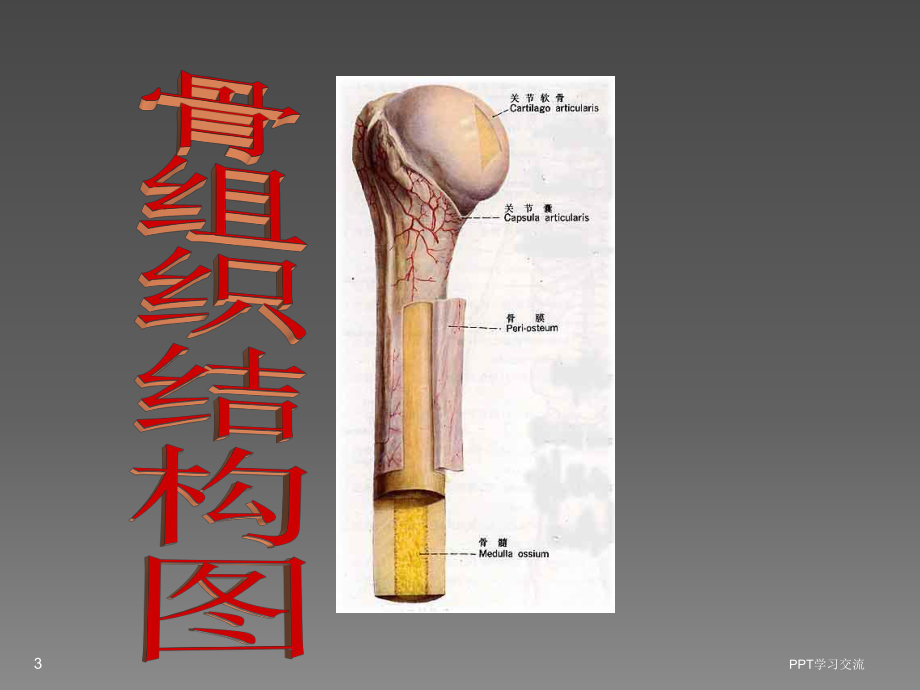 类风湿性关节炎常见治疗方法PPT课件.ppt_第3页