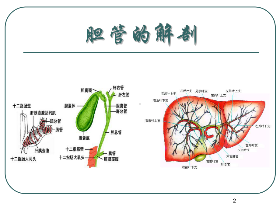 胆管癌诊断与治疗ppt课件.ppt_第2页