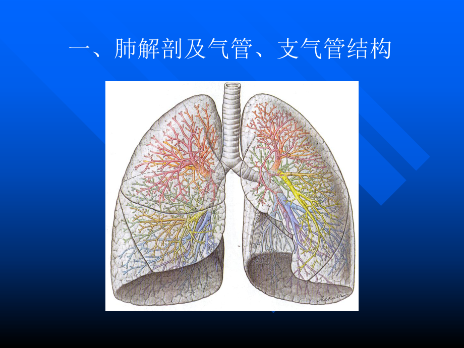 肺部影像学诊断基础-PPT精品课件.pptx_第2页