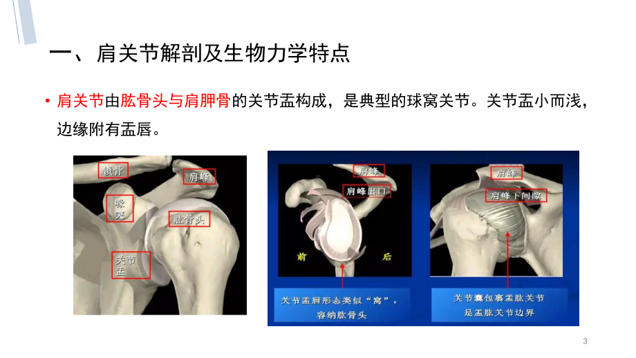 肩袖损伤的诊断及治疗策略PPT课件.pptx_第3页