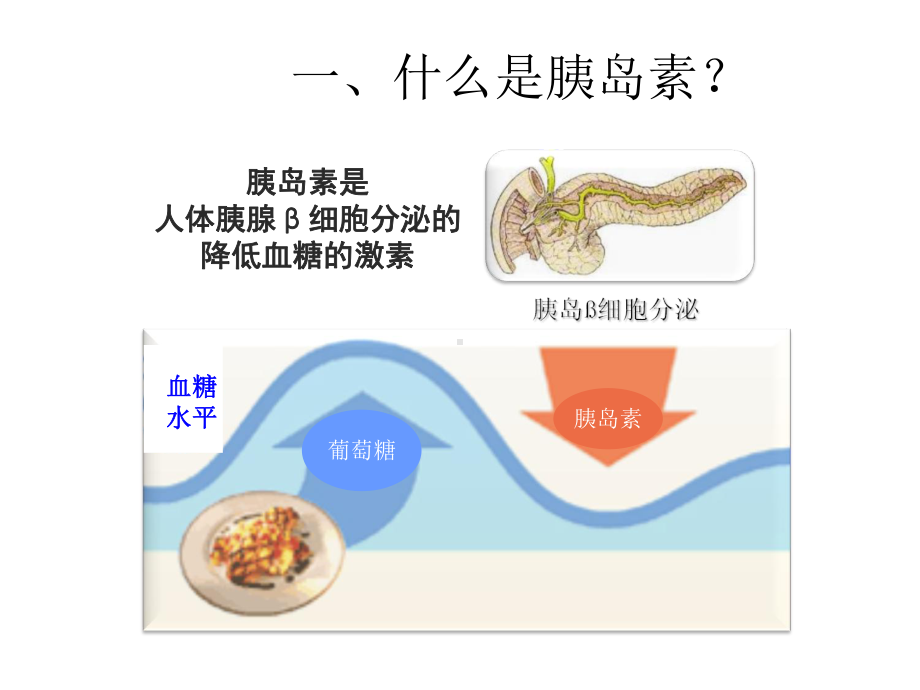 胰岛素泵的临床应用资料课件.ppt_第3页