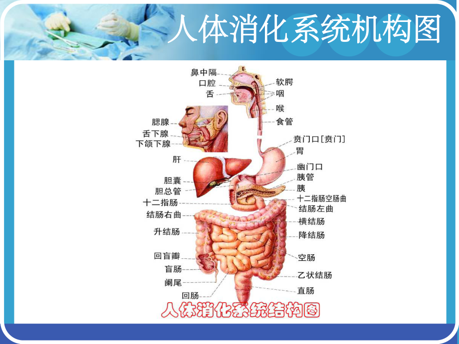 胃肠减压的护理课件-ppt.ppt_第3页