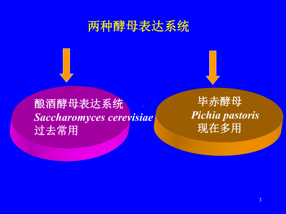 基因表达系统大肠杆菌表达系统课件.ppt_第3页