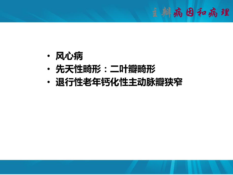 主动脉瓣肺动脉瓣课件.pptx_第2页