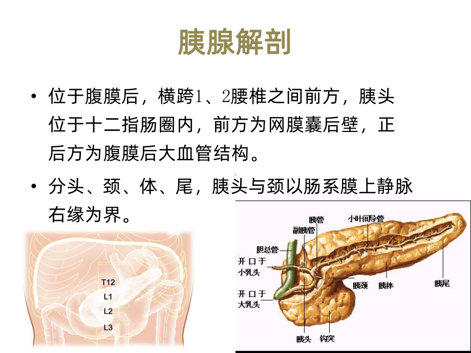 胰腺炎的影像诊断PPT课件.pptx_第3页