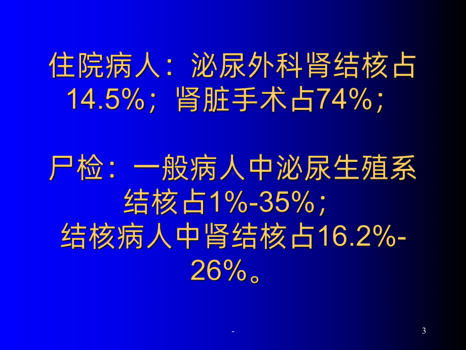 肾结核的诊断与治疗PPT课件.ppt_第3页