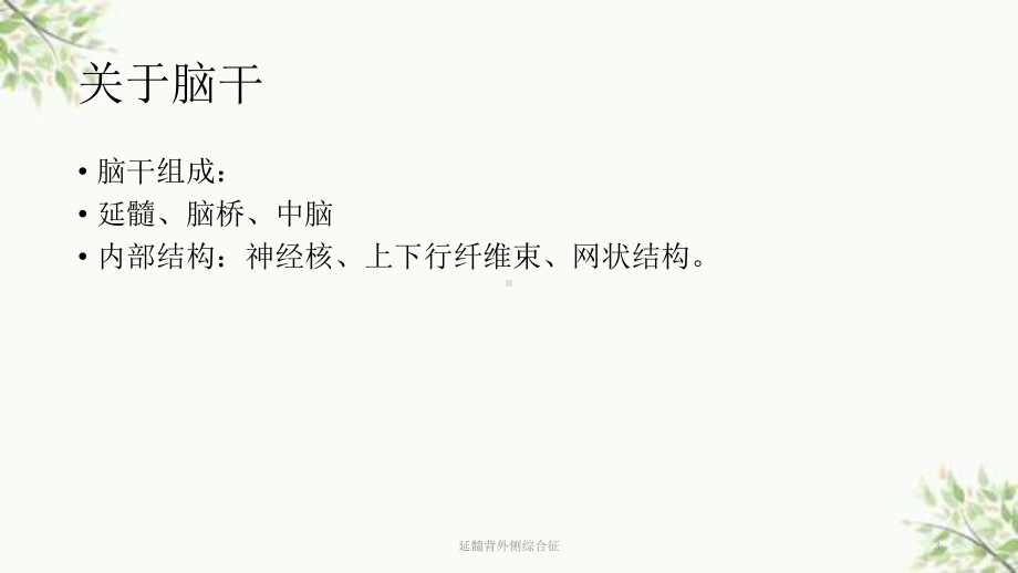 延髓背外侧综合征课件.ppt_第3页