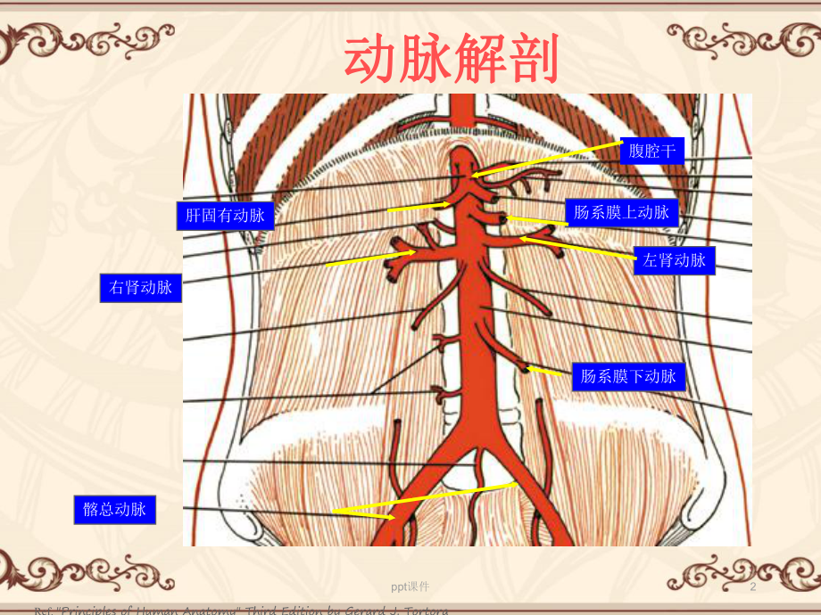 腹主动脉瘤（普外科）-ppt课件.ppt_第2页