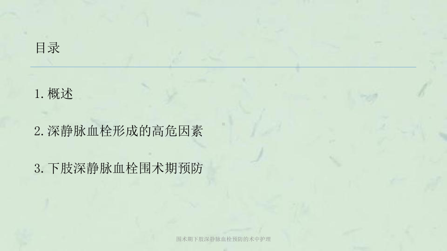 围术期下肢深静脉血栓预防的术中护理课件.ppt_第2页