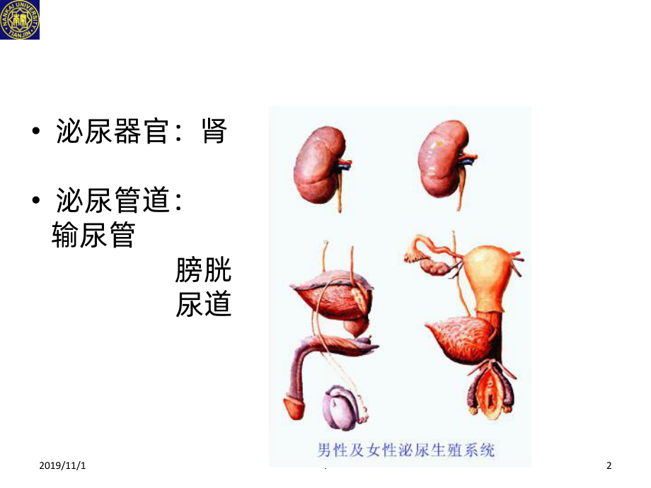 肾动态显像PPT课件.ppt_第2页