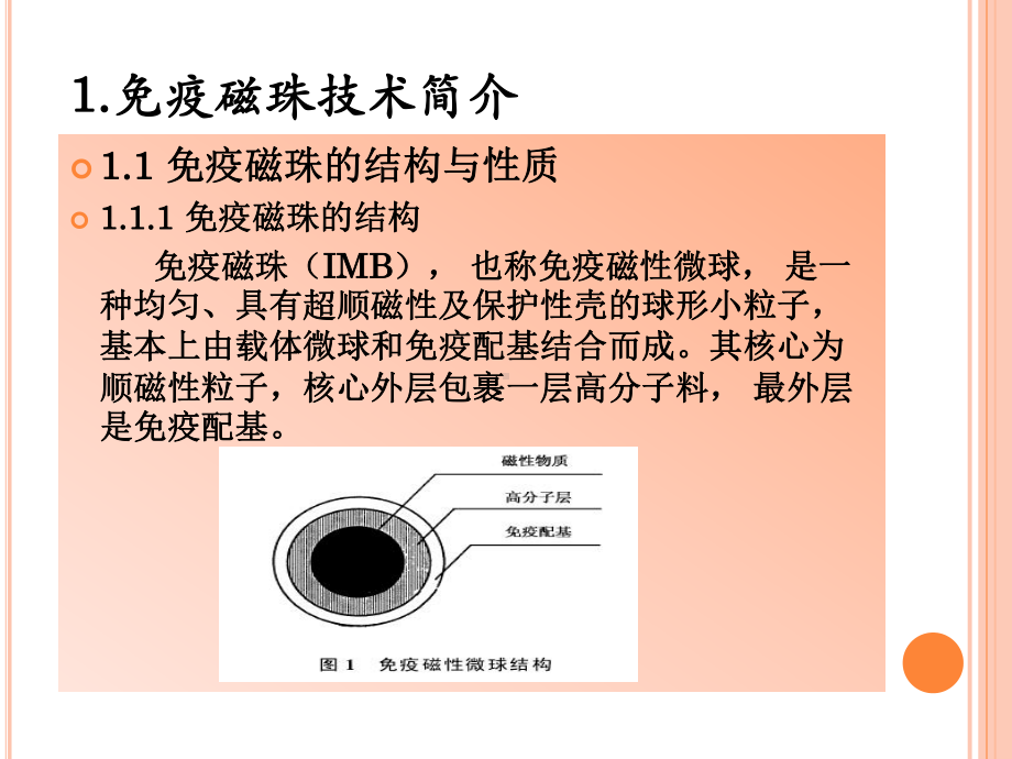 最新免疫磁珠技术主题讲座课件.ppt_第2页