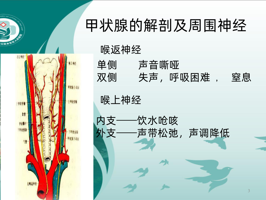 甲状腺包块的护理PPT课件.ppt_第3页