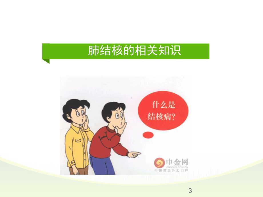 肺结核培训ppt课件.ppt_第3页