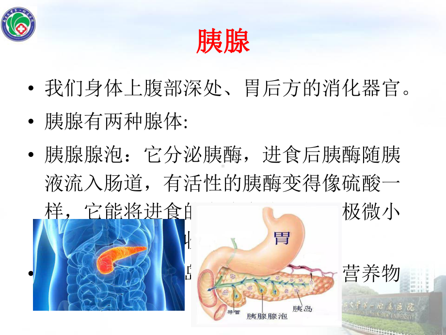 医学急性胰腺炎健康教育PPT培训课件.ppt_第3页