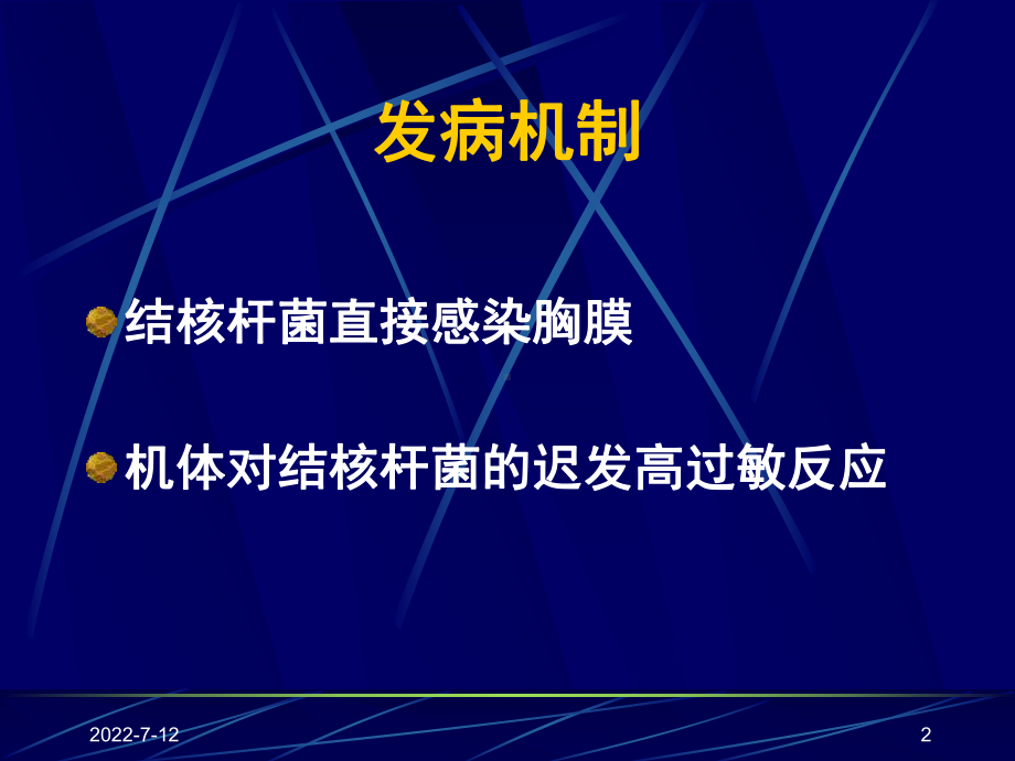 结核性胸膜炎-PPT课件.ppt_第2页