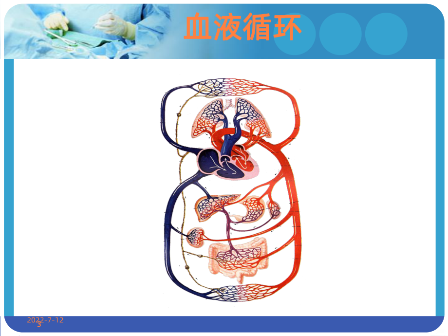 社区高血压健康教育ppt课件.ppt_第3页