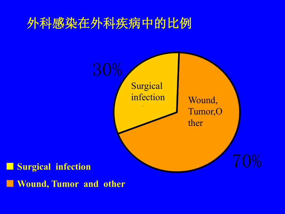 外科感染教案幻灯课件.ppt_第3页