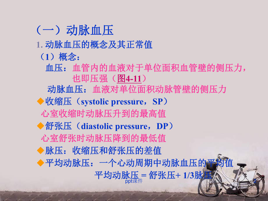 血管生理及心血管的调节-PPT课件.ppt_第2页