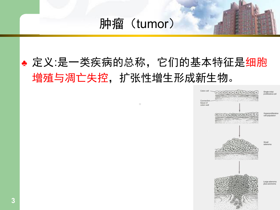 恶性肿瘤PPT课件.ppt_第3页