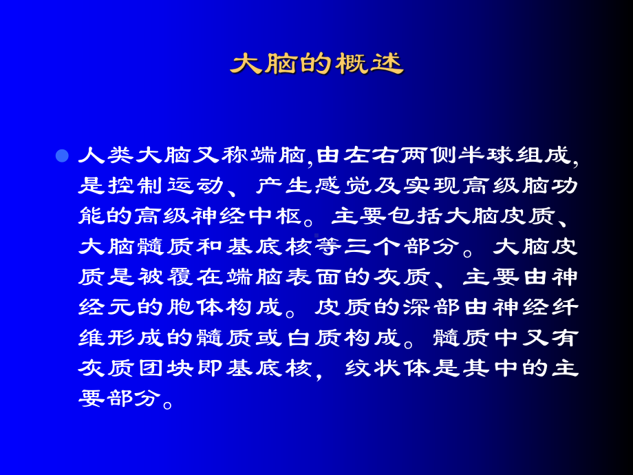 最新大脑皮质功能分区主题讲座课件.ppt_第3页