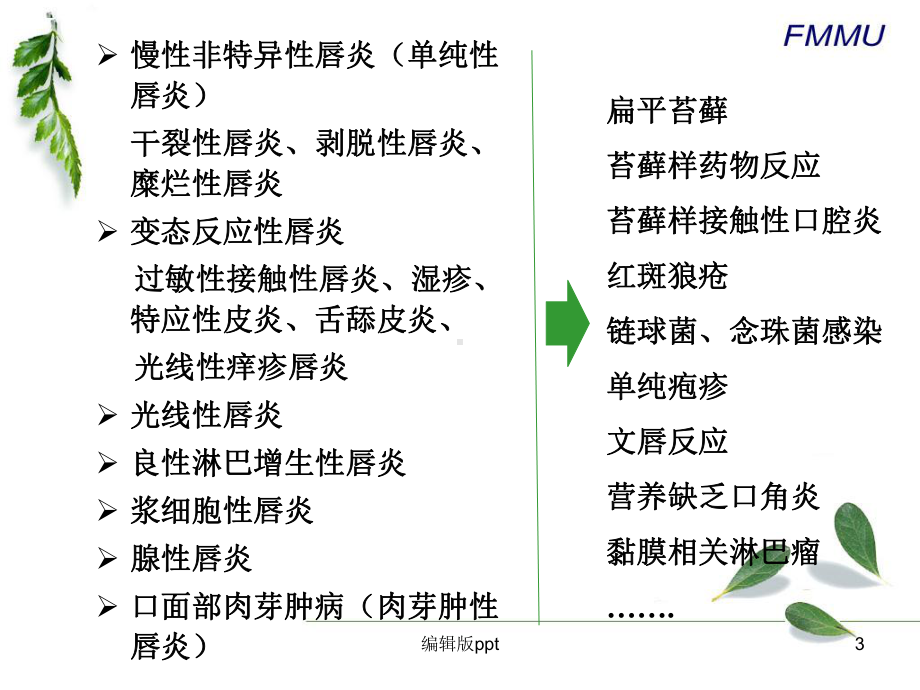 唇部炎症性疾病的鉴别诊断医学PPT课件.pptx_第3页